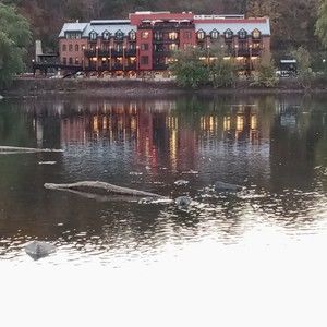 Meet your Posher, Serena